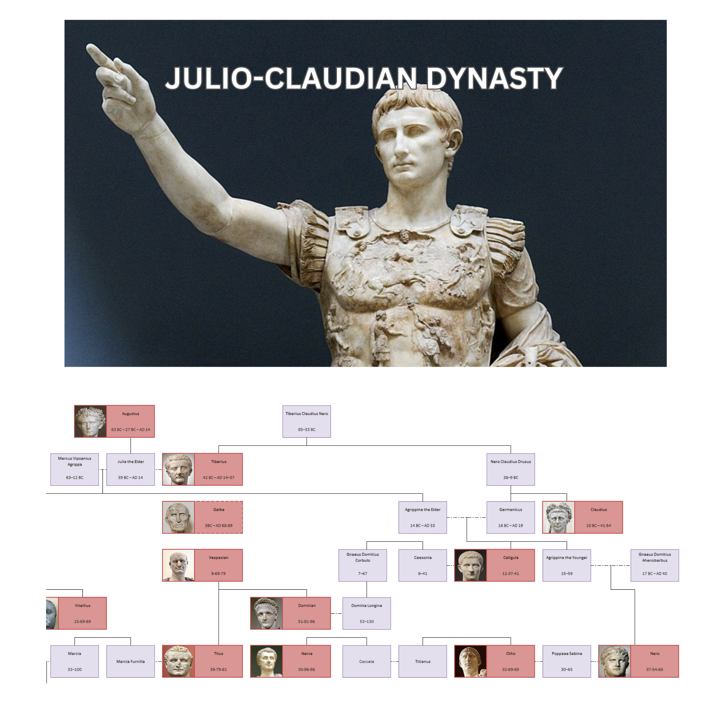 Image of a statue of the emperor Augustus along with the accompanying section of the Family Tree.